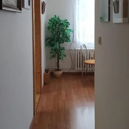 V * Srní