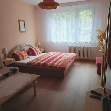 V Appartement Srní