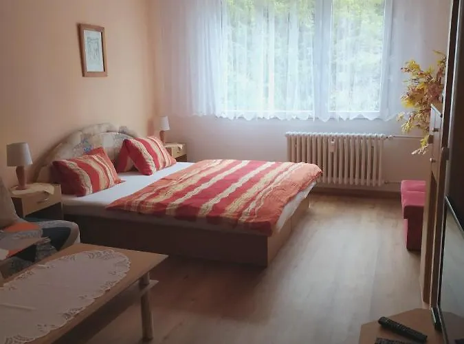 V Apartamento Srní